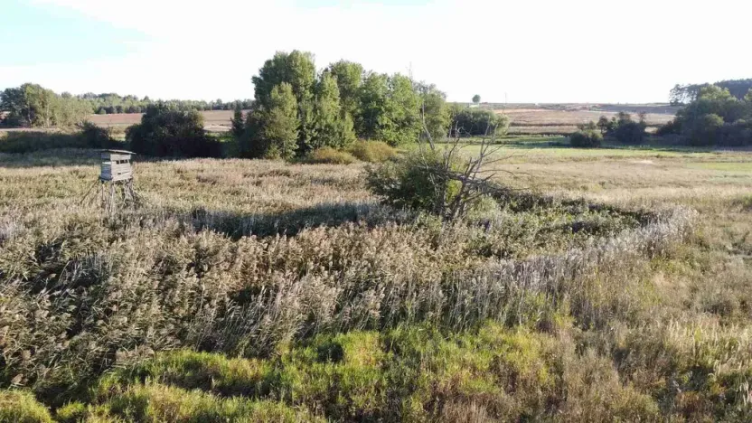 Prodej pozemku, Nesuchyně, 951 m2