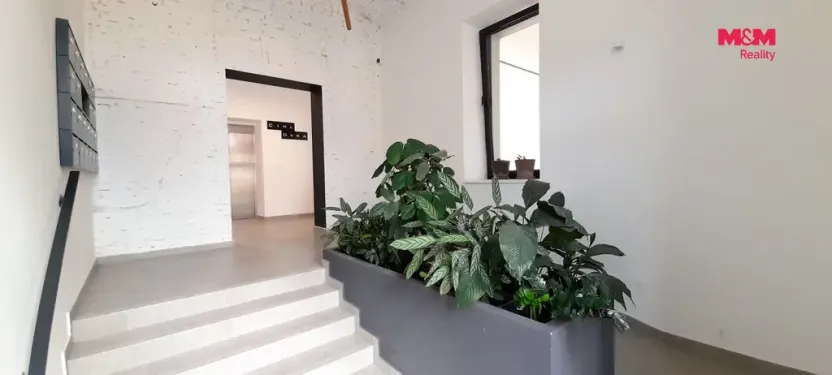 Pronájem bytu 1+kk, Hradec Králové - Kukleny, Pražská třída, 30 m2