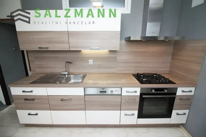 Pronájem bytu 3+1, Plzeň, Pod Švabinami, 74 m2