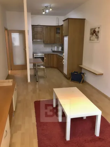 Pronájem bytu 2+kk, Praha - Žižkov, Budovcova, 60 m2