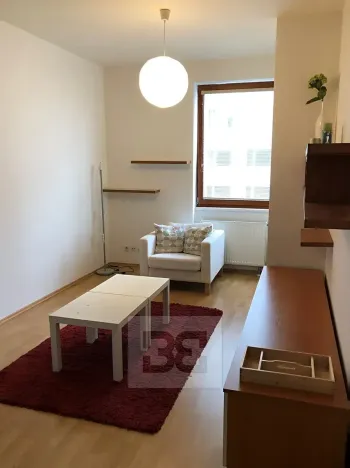 Pronájem bytu 2+kk, Praha - Žižkov, Budovcova, 60 m2