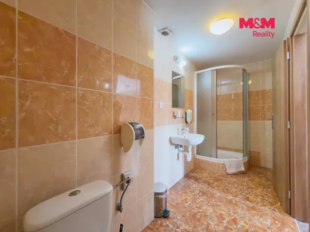 Pronájem ubytování, Karviná - Lázně Darkov, Lázeňská, 650 m2