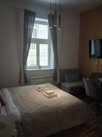 Pronájem bytu 1+kk, Praha - Nové Město, Petrská, 25 m2