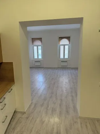 Pronájem bytu 1+1, Liberec, Pražská, 42 m2