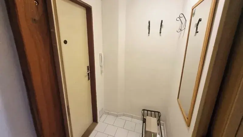 Pronájem bytu 1+kk, Jihlava, 30 m2