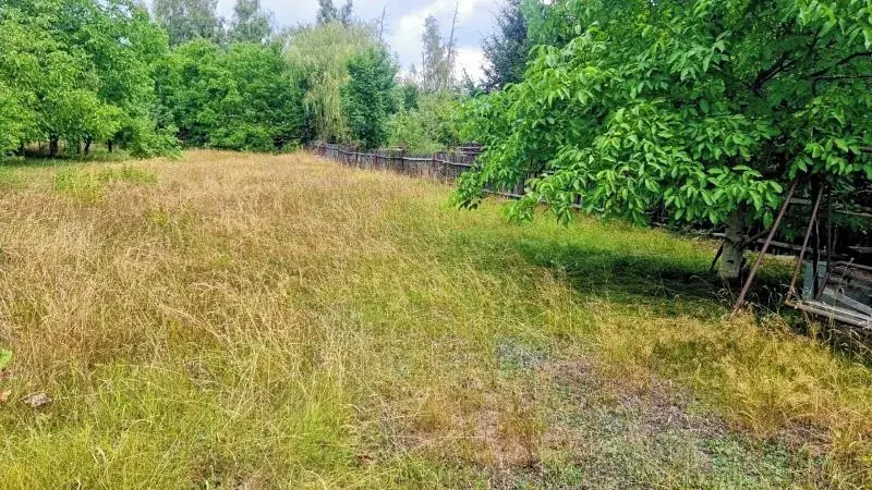 Prodej rodinného domu, Vyskytná nad Jihlavou, 140 m2