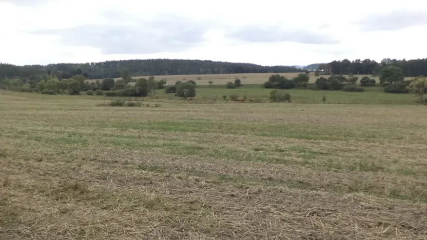 Prodej pole, Tachov, 842 m2