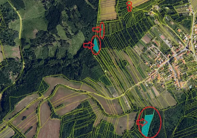 Prodej lesa, Hlína, 7201 m2