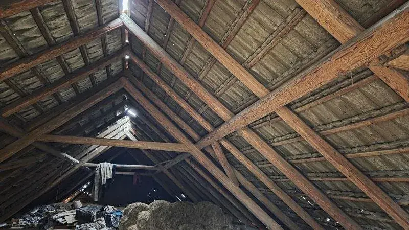 Prodej zemědělské usedlosti, Křižanov, 371 m2