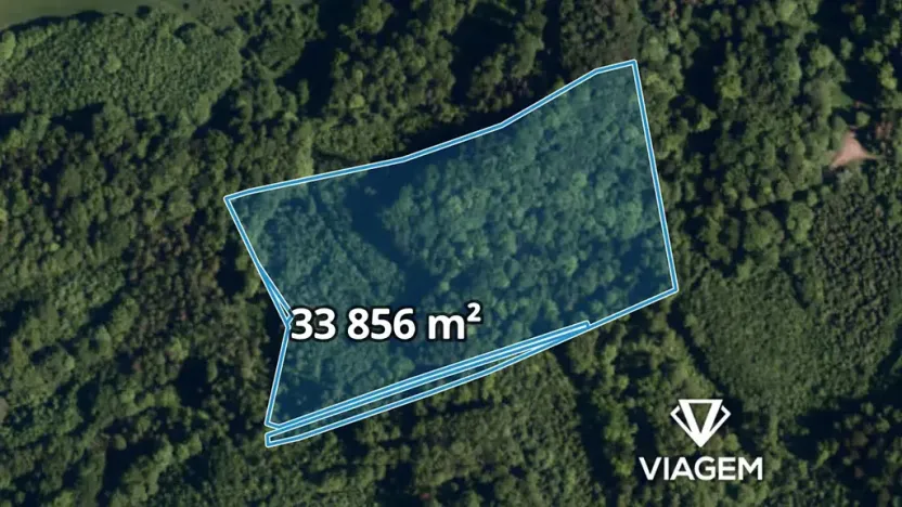 Prodej podílu lesa, Životice u Nového Jičína, 5078 m2