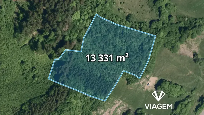 Prodej lesa, Vsetín, Rokytnice, 13331 m2