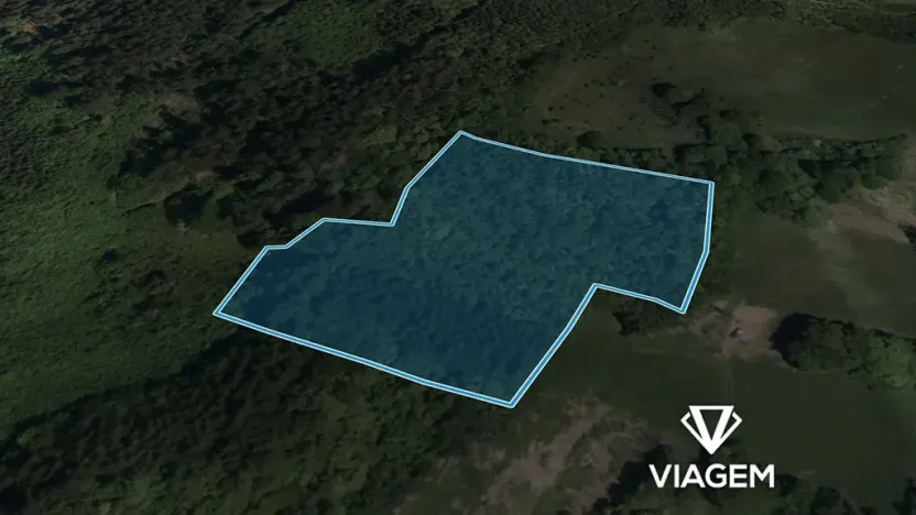 Prodej lesa, Vsetín, Rokytnice, 13331 m2
