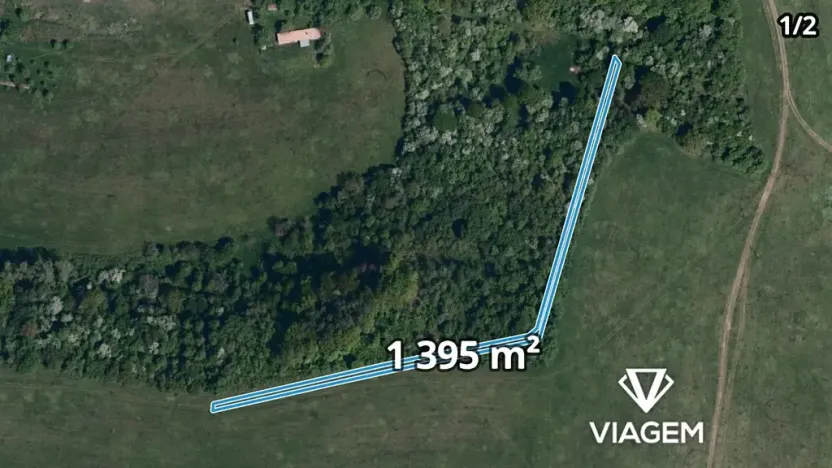 Prodej podílu lesa, Kaňovice, 4655 m2