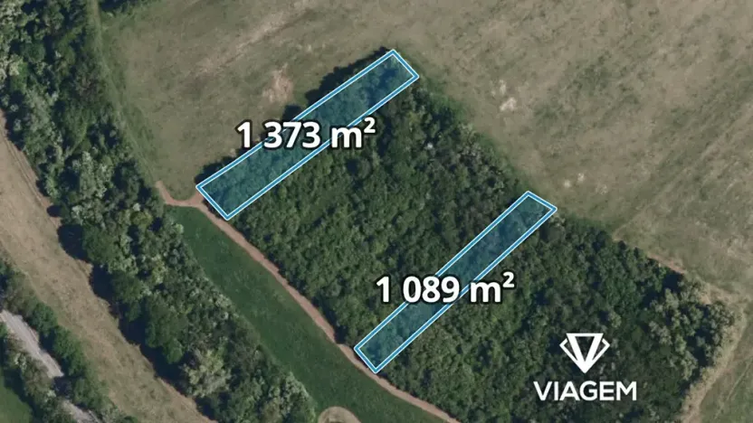 Prodej lesa, Kurdějov, 2462 m2