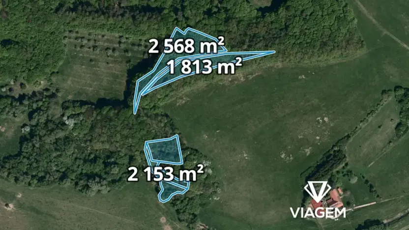 Prodej podílu lesa, Bohuslavice nad Vláří, 2999 m2