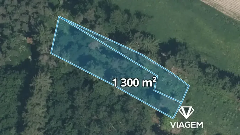 Prodej lesa, Sepekov, 1300 m2