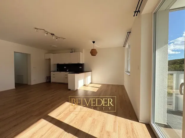 Pronájem bytu 2+kk, Teplice, Albrechtova, 70 m2