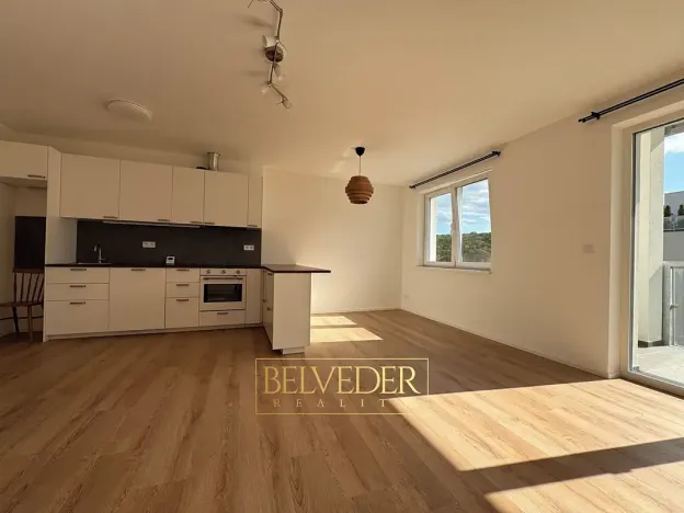 Pronájem bytu 2+kk, Teplice, Albrechtova, 70 m2
