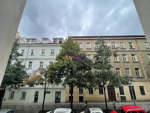 Pronájem bytu 1+kk, Praha - Vinohrady, Jana Masaryka, 52 m2