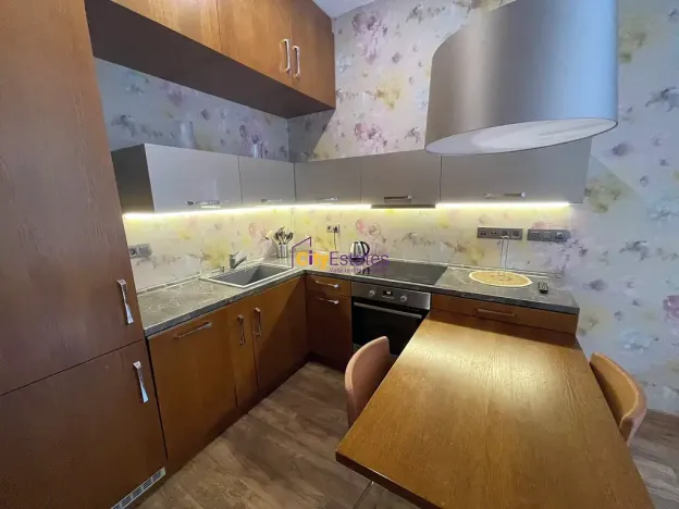Pronájem bytu 1+kk, Praha - Vinohrady, Jana Masaryka, 52 m2