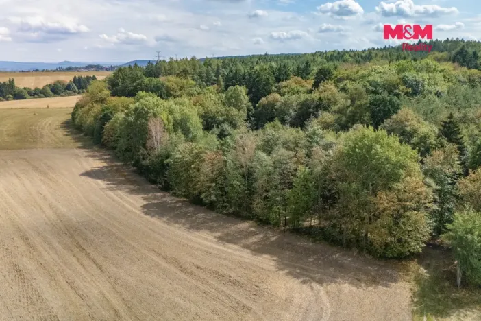 Prodej lesa, Plzeň - Červený Hrádek, 6522 m2