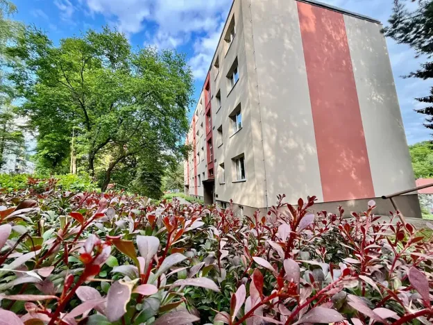 Pronájem bytu 2+1, Děčín, Kamenická, 50 m2