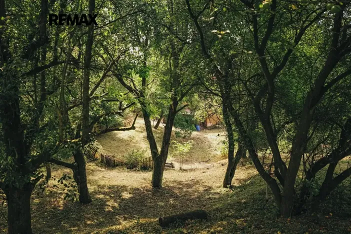 Prodej rodinného domu, Dlouhá Loučka, 192 m2