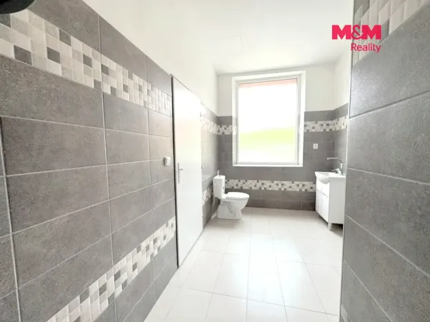 Pronájem bytu 1+kk, Ploskovice, 50 m2