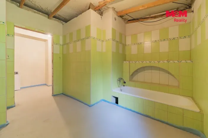 Prodej rodinného domu, Mnichov, 160 m2