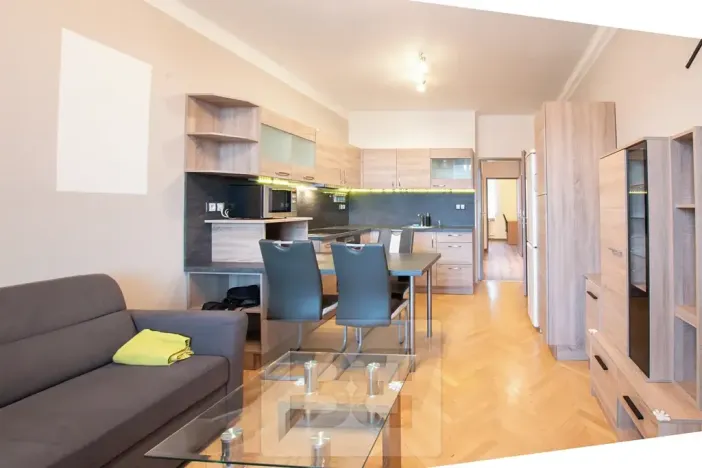 Pronájem bytu 3+kk, Plzeň, Francouzská třída, 52 m2