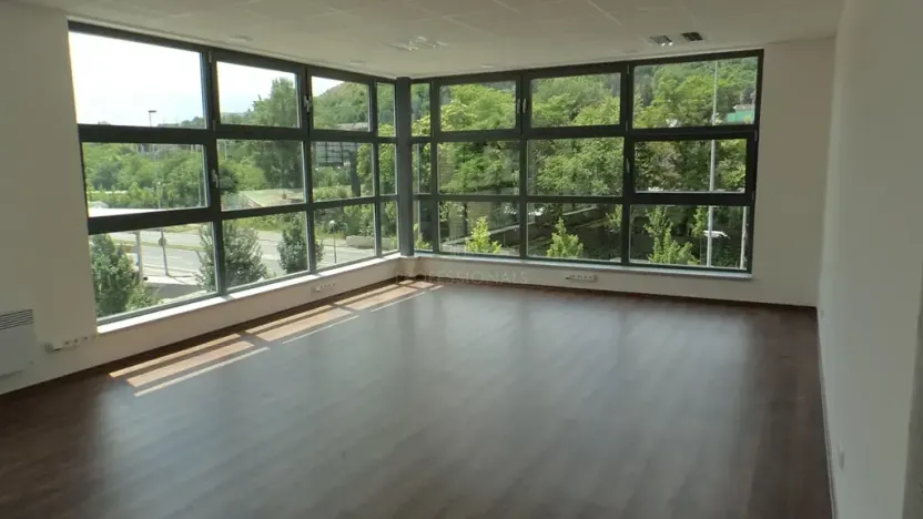 Pronájem kanceláře, Praha, Strakonická, 52 m2