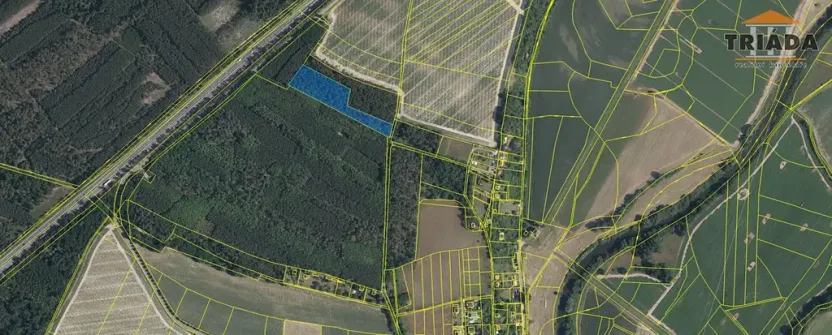 Prodej podílu lesa, Skorkov, 2180 m2