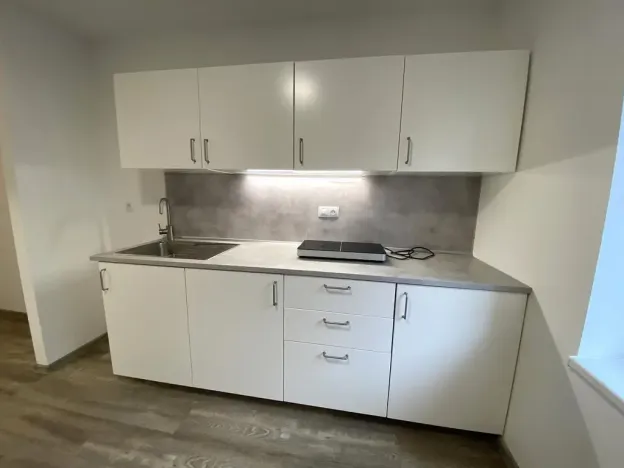Pronájem bytu 1+kk, Brno - Maloměřice, Hády, 18 m2