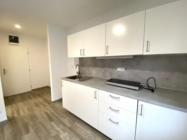 Pronájem bytu 1+kk, Brno - Maloměřice, Hády, 18 m2