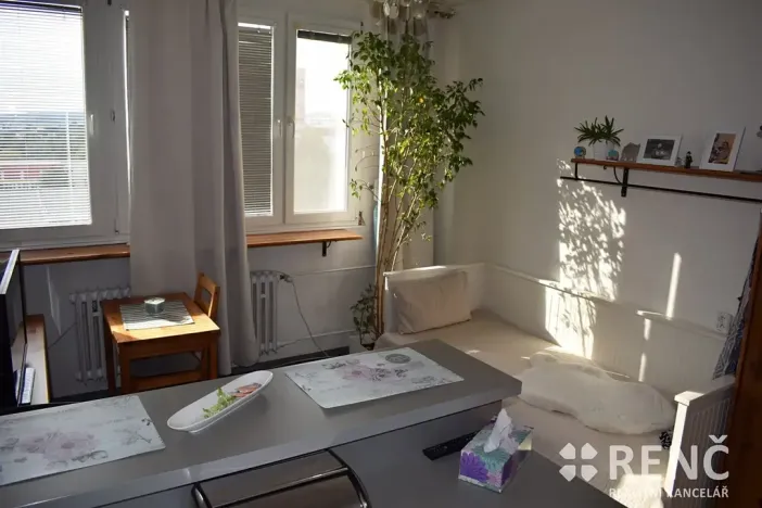 Prodej bytu 1+kk, Brno, Halasovo náměstí, 23 m2