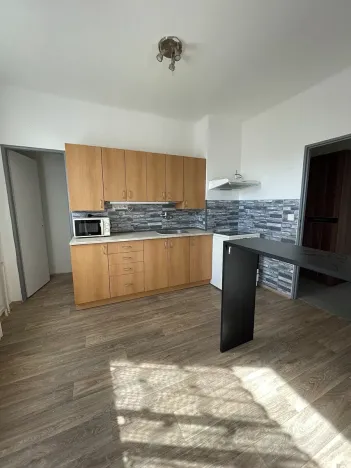 Pronájem bytu 1+1, Doudleby nad Orlicí, U Bažantnice, 42 m2