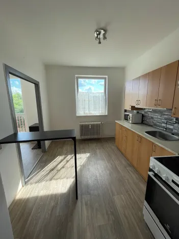 Pronájem bytu 1+1, Doudleby nad Orlicí, U Bažantnice, 42 m2