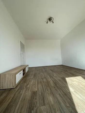 Pronájem bytu 1+1, Doudleby nad Orlicí, U Bažantnice, 42 m2