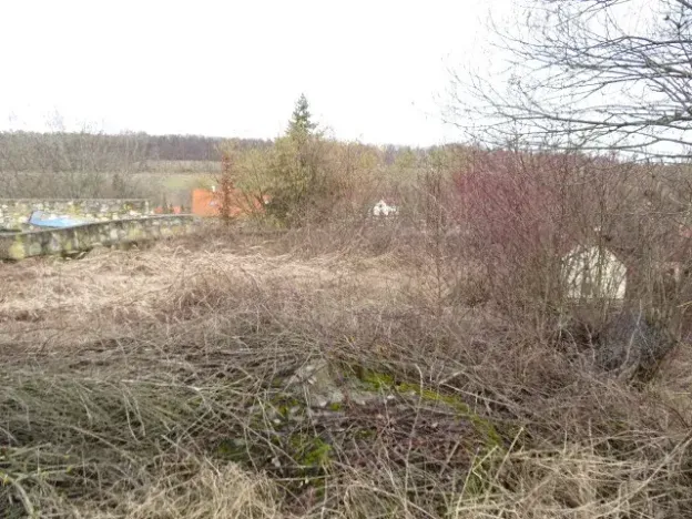 Dražba rodinného domu, Bílichov, 10 m2
