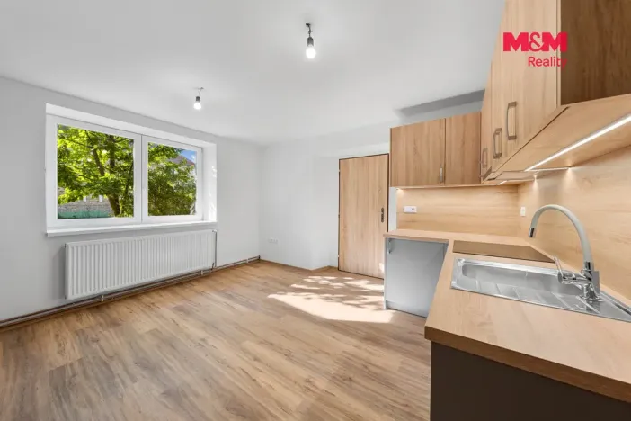Prodej rodinného domu, Blšany u Loun, 400 m2