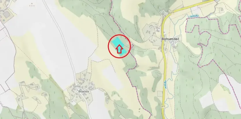 Prodej lesa, Všelibice, 12954 m2