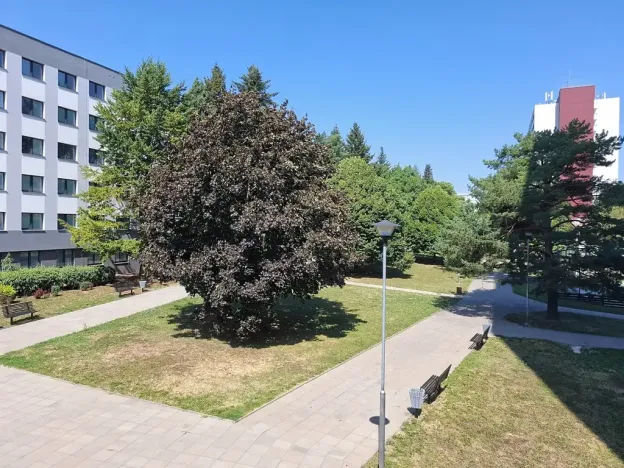 Pronájem kanceláře, Brno, 420 m2