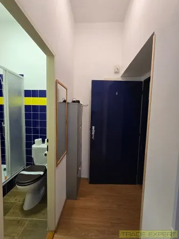 Pronájem bytu 2+kk, Praha - Michle, Nuselská, 38 m2