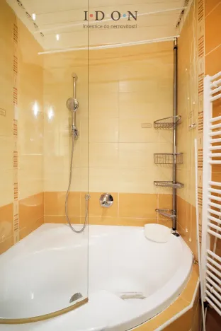 Prodej bytu 2+1, Ostrava, Zeyerova, 42 m2