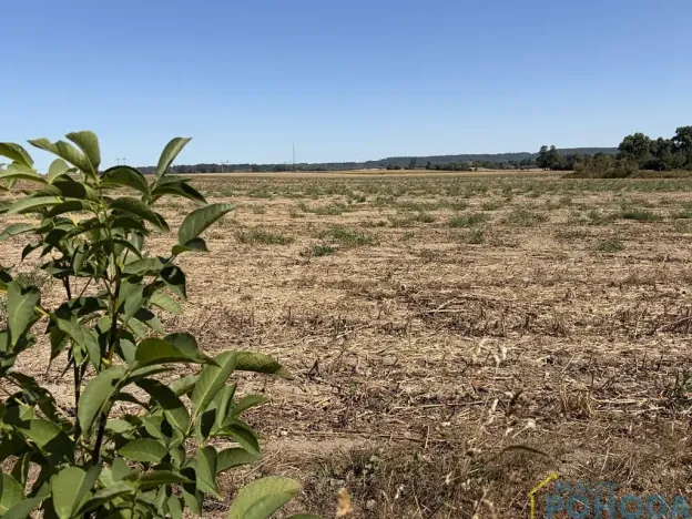 Prodej pozemku pro bydlení, Chroustovice, 8572 m2