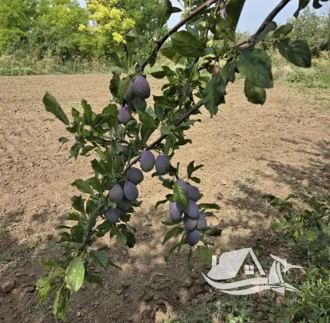 Prodej rodinného domu, Dobrič, Bulharsko, 95 m2