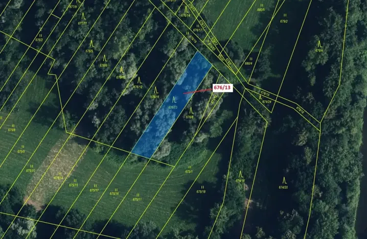 Dražba lesa, Přerov, 1000 m2