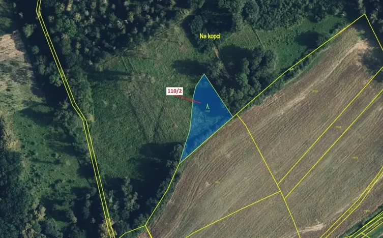 Dražba lesa, Přerov, 1576 m2