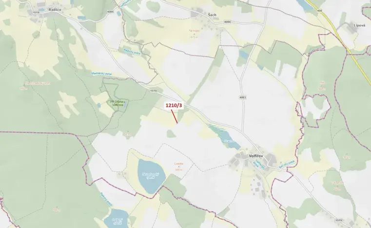Dražba lesa, Volfířov, 29 m2