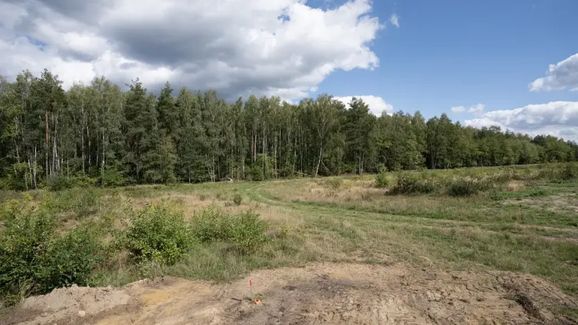 Prodej pozemku, Ralsko - Kuřívody, 1255 m2